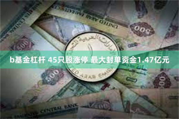 b基金杠杆 45只股涨停 最大封单资金1.47亿元