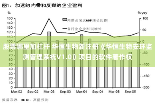 股票哪里加杠杆 华恒生物新注册《华恒生物安环监测管理系统V1.0》项目的软件著作权