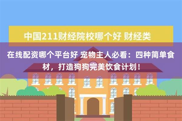 在线配资哪个平台好 宠物主人必看：四种简单食材，打造狗狗完美饮食计划！