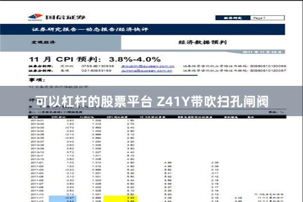 可以杠杆的股票平台 Z41Y带吹扫孔闸阀