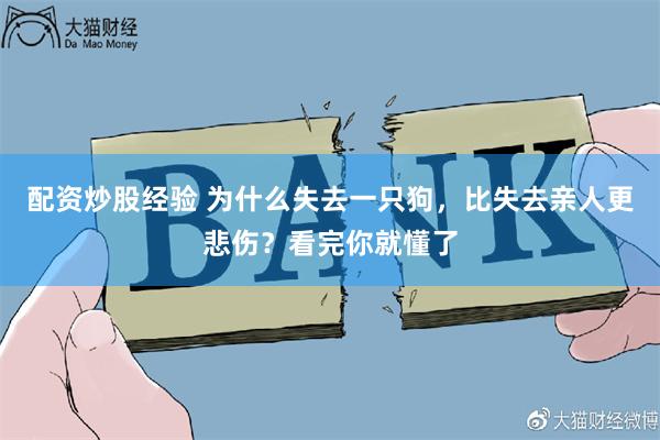 配资炒股经验 为什么失去一只狗，比失去亲人更悲伤？看完你就懂了