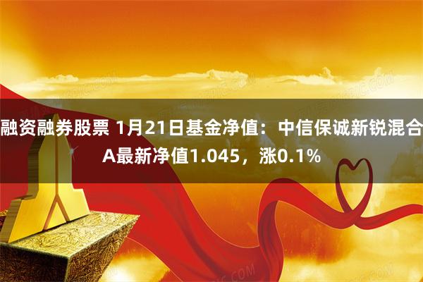 融资融券股票 1月21日基金净值：中信保诚新锐混合A最新净值1.045，涨0.1%