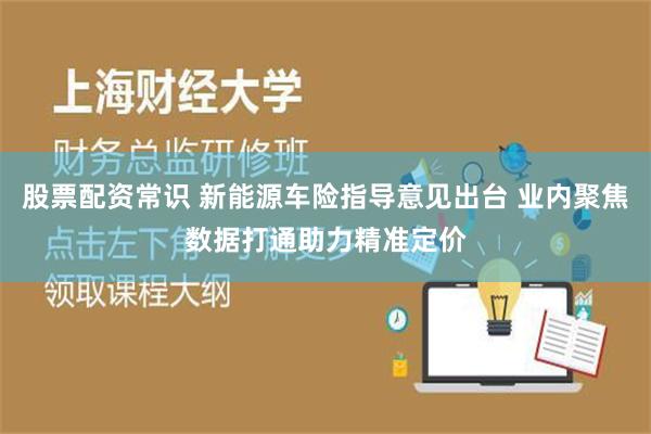 股票配资常识 新能源车险指导意见出台 业内聚焦数据打通助力精准定价