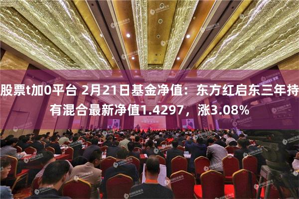 股票t加0平台 2月21日基金净值：东方红启东三年持有混合最新净值1.4297，涨3.08%